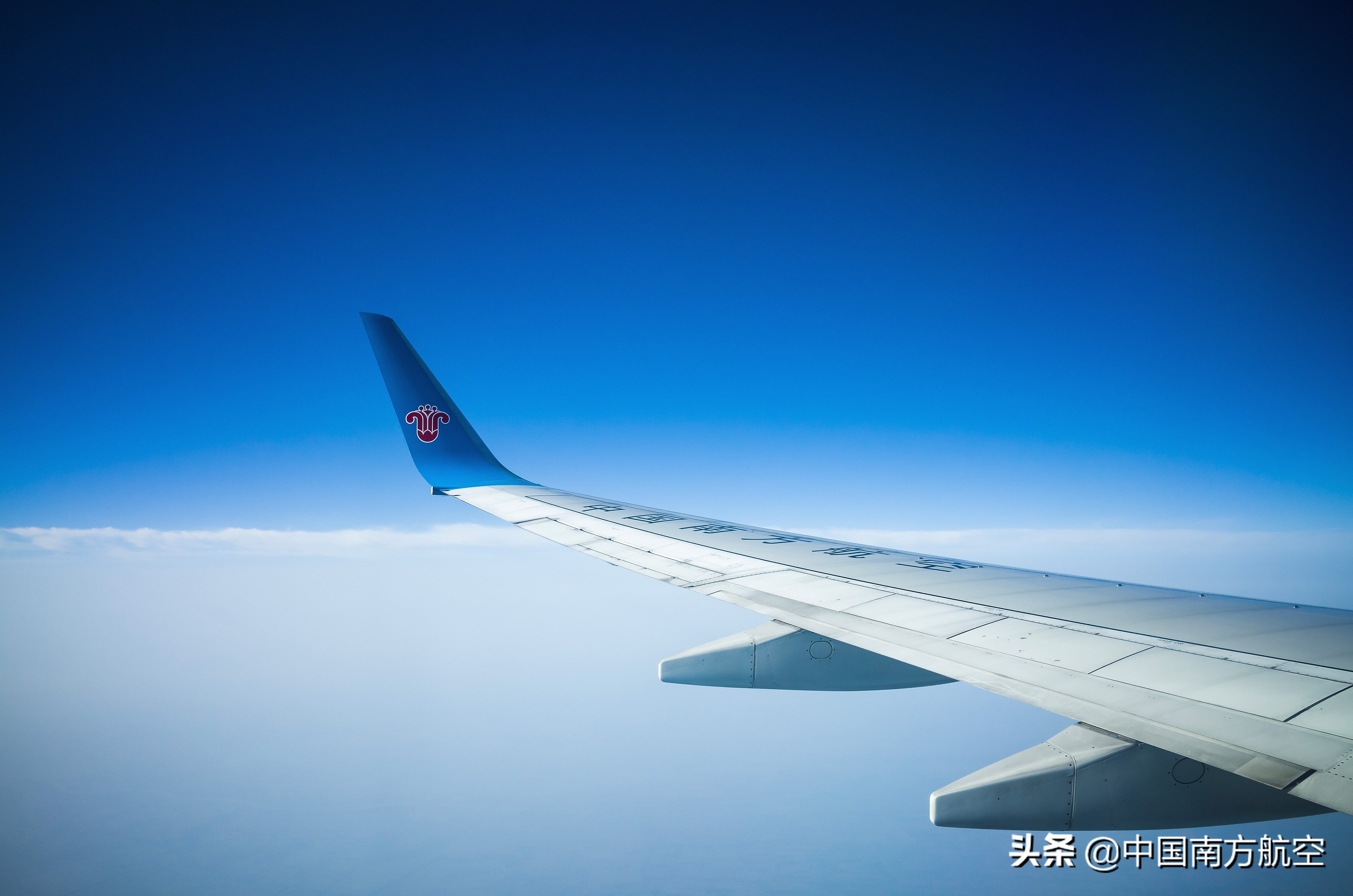 南航国际航班2022三月份计划,南航2022四月份航班计划