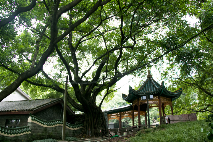 重庆主城小众打卡地,重庆周边小众自驾旅游