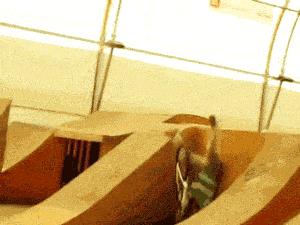 女孩子看见照片后就发个哈哈哈,姑娘不是什么照片都能随便发的