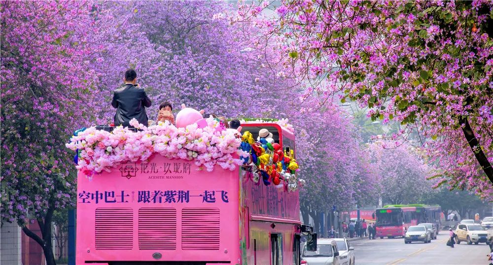 春天，我想到一座城，吃粉粉，看粉粉