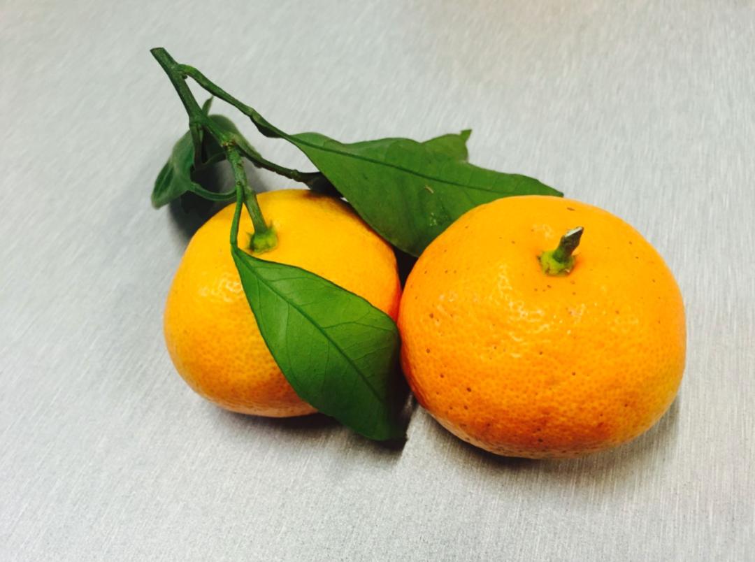 得了癌症癌细胞还一直存在吗,癌细胞在身体中是如何存活生长的