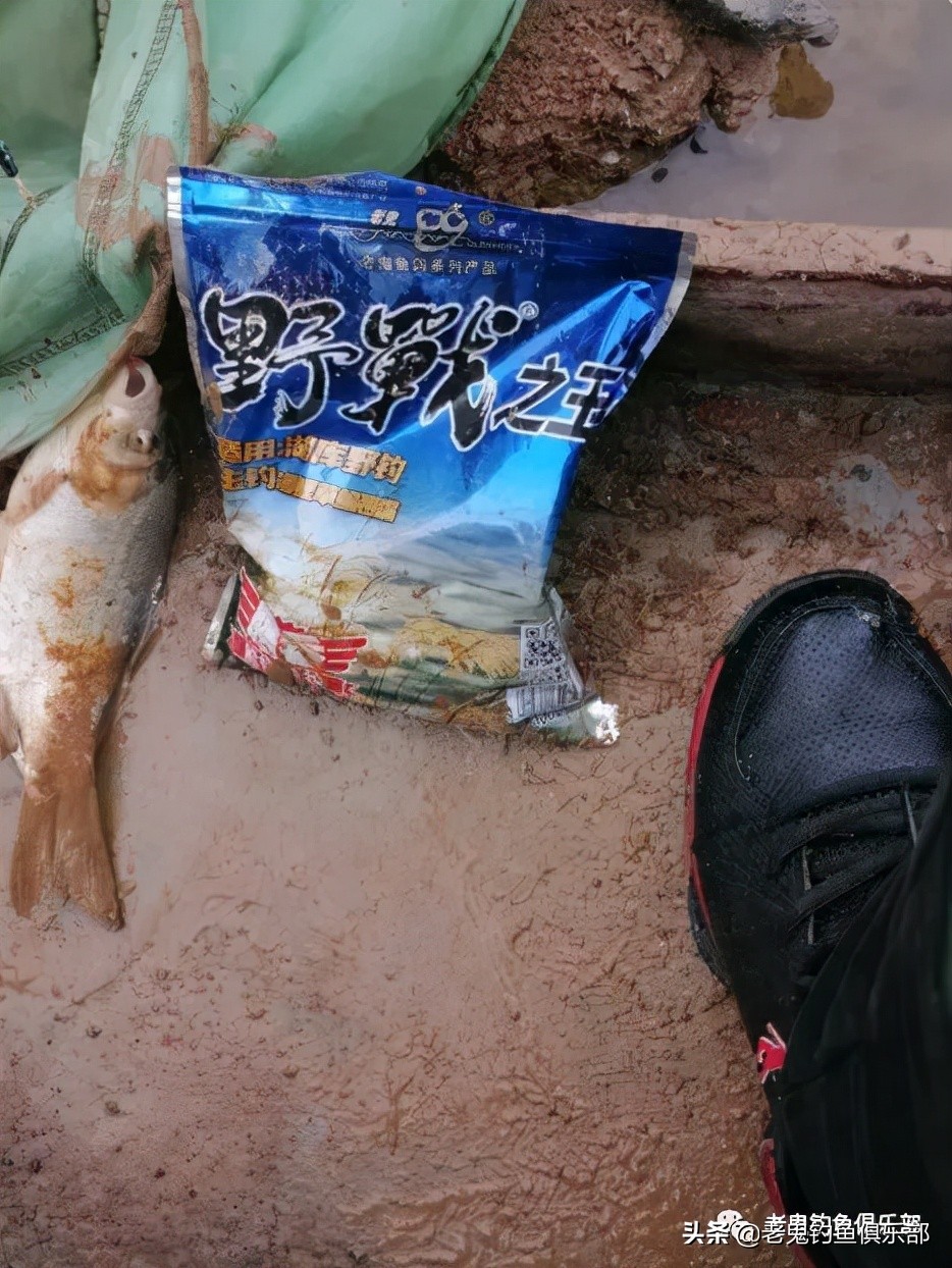 冬钓小野河，*战野**之王·腥香一包搞定