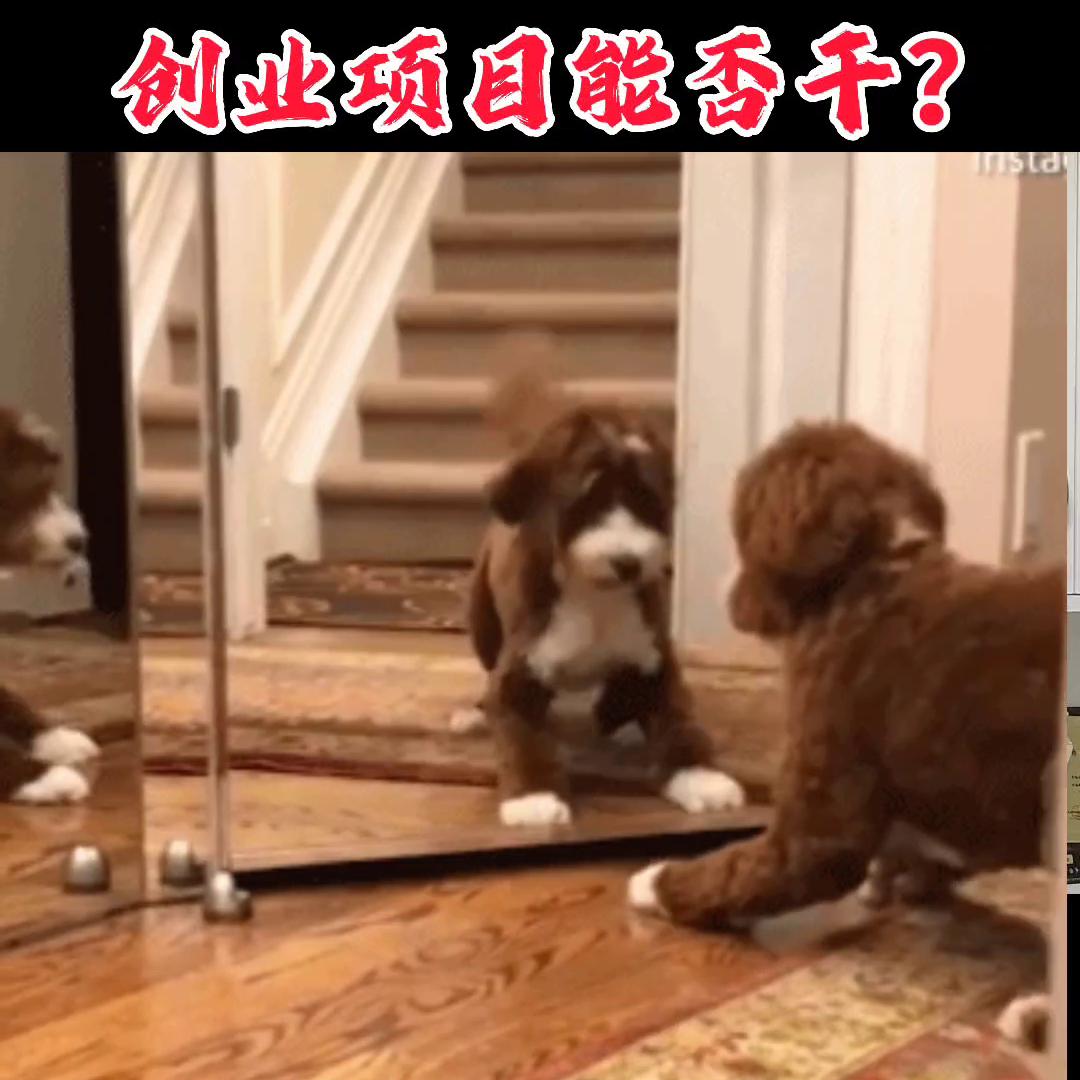 如何在创业初期判断项目是否赚钱,创业第一步如何正确选择项目