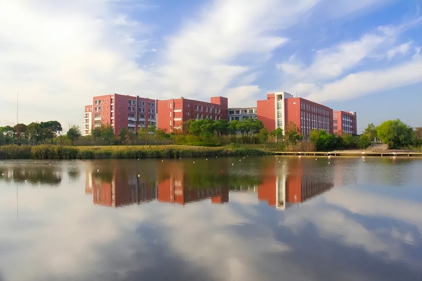 牛！上海13名本科生：“组队”开公司，解决关键难题，拿下300万意向订单！