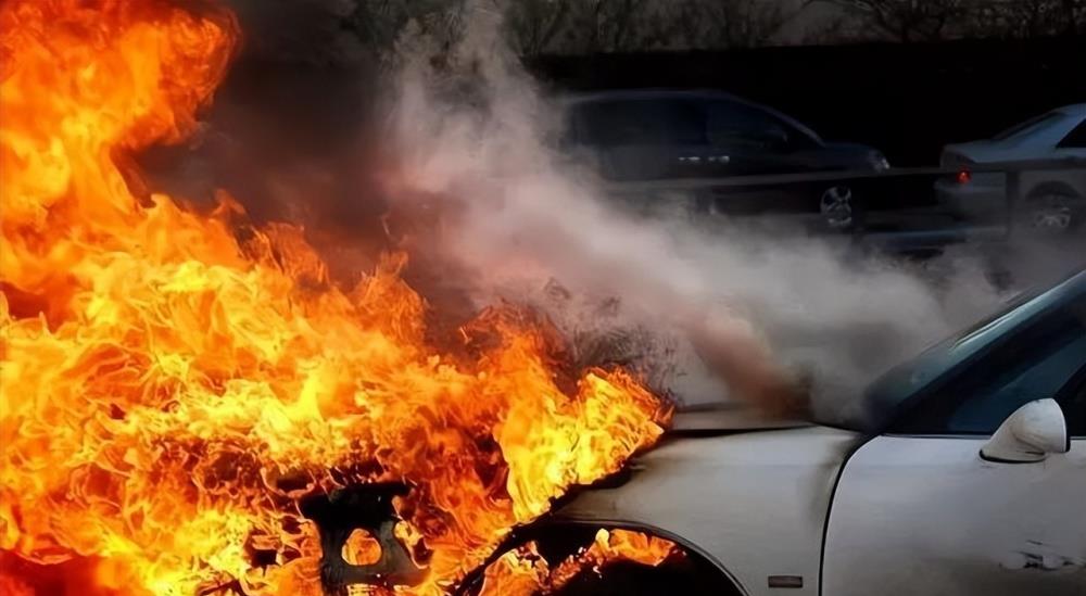 我深表同情,40度高温纯电车自燃