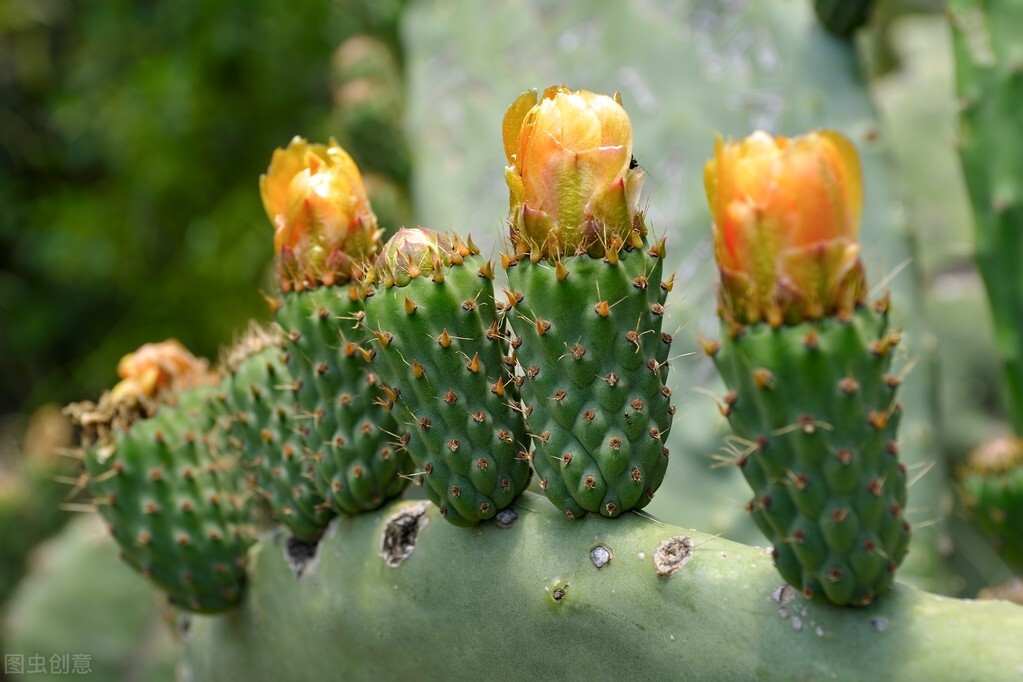 早安问候暖心治愈语录