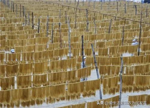 十万块钱农村创业,十万块农村创业