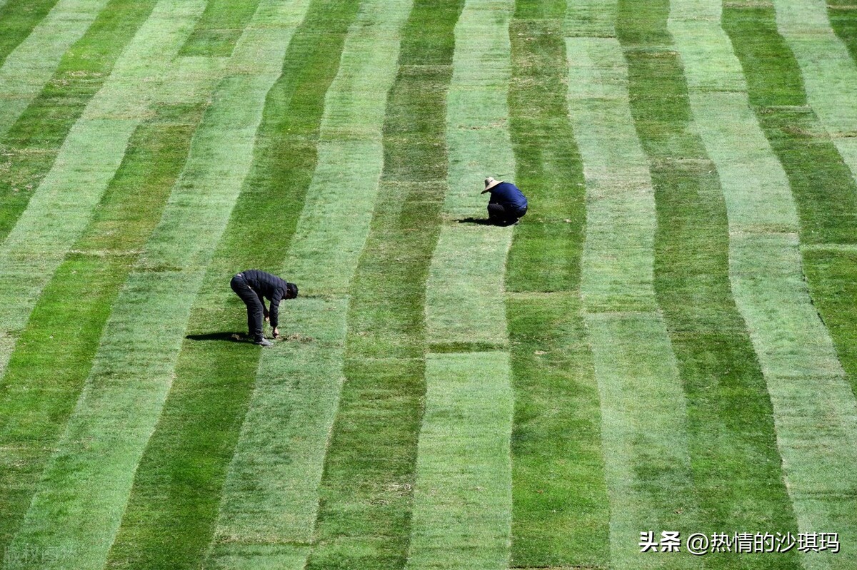 中国足球有反腐吗,中国足球反腐看法