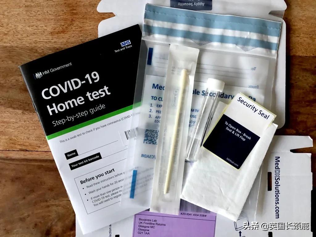 pcr精准检测,pcr实时检测