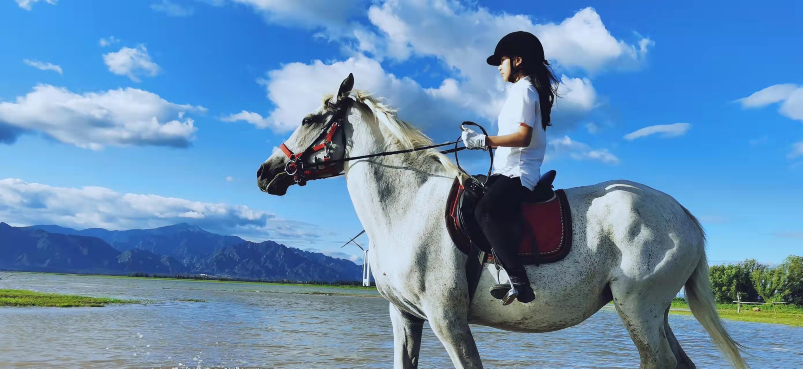 2023华杯赛夏令营,华誉外交官夏令营