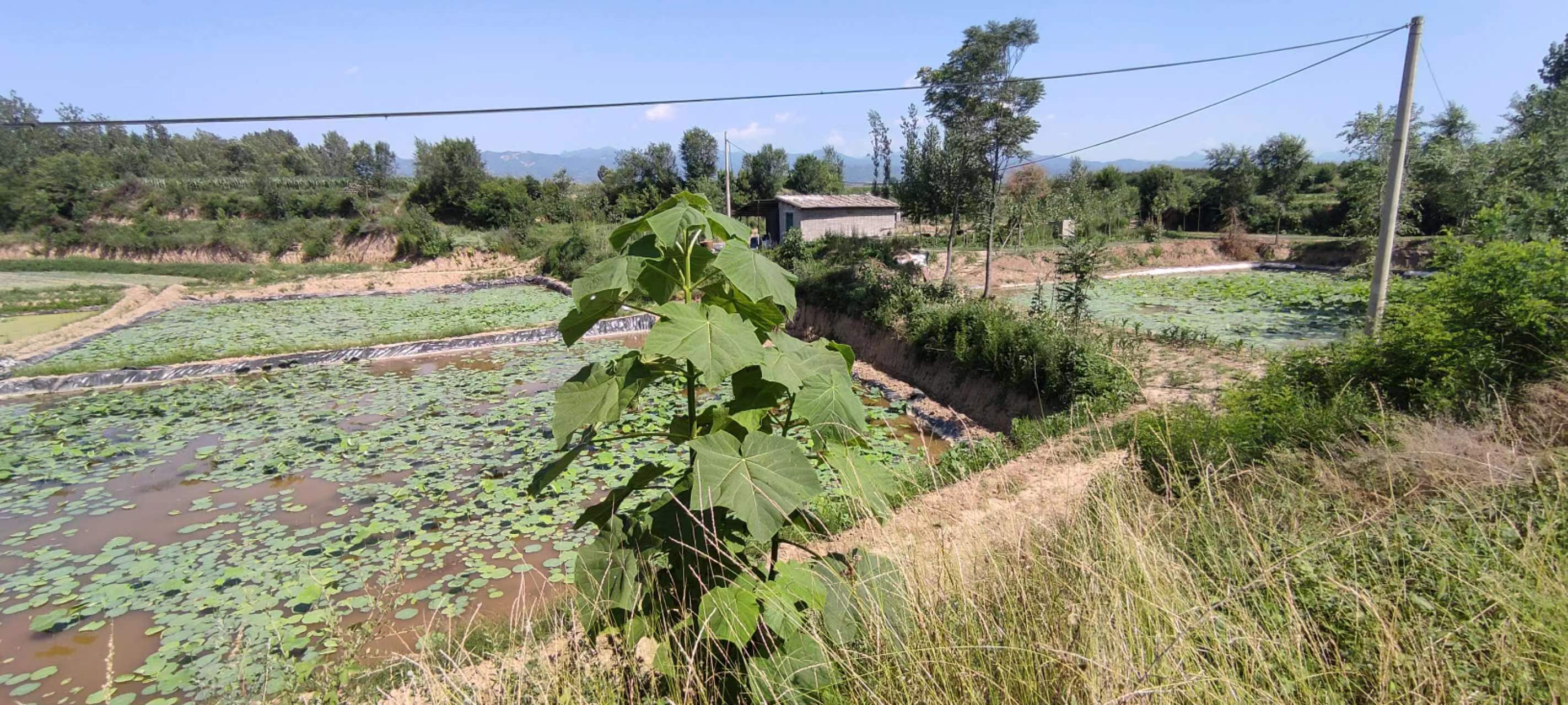 古中国考出彭蠡泽｜张笔魁