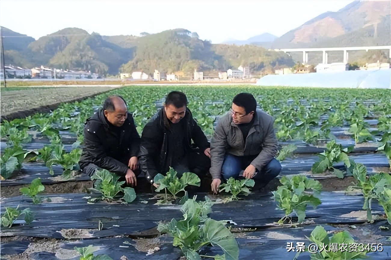 农资零售商应该如何做好生意,开个农资零售店需要哪些流程