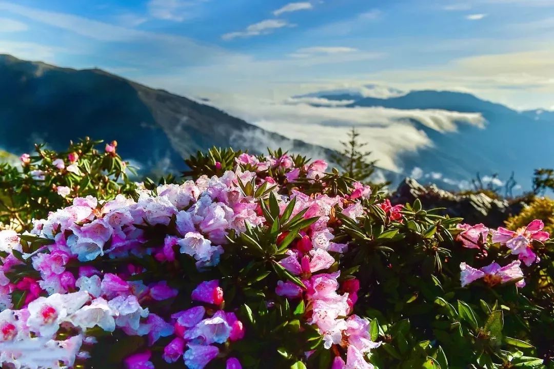 桂林雁山猫儿山,广州出发6天最适宜赏秋旅游