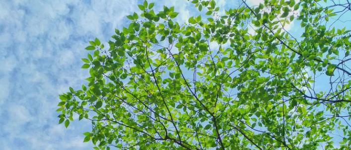 SpringDay让春天“放肆”绽放|深圳的春天我们这样“玩”婚礼