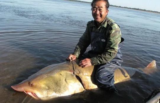 东北和黑龙江是一个省吗,东北三省最北的省