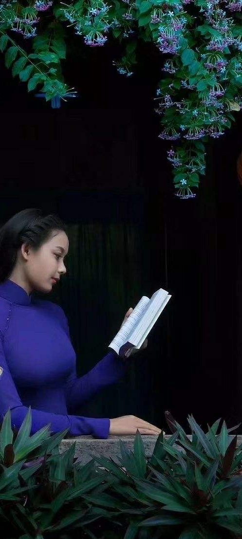 高高的紫云山,我们的青春故事曾在这里演绎