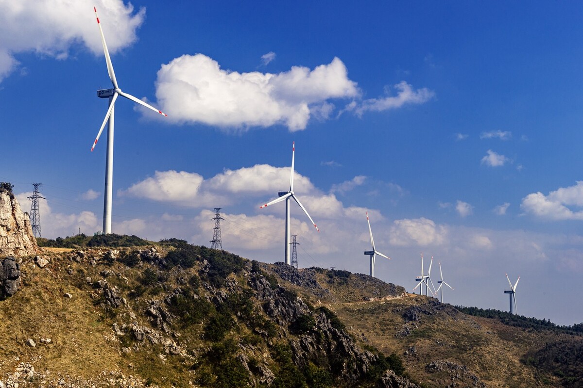 a股十大龙头证券公司,a股十大龙头股排名