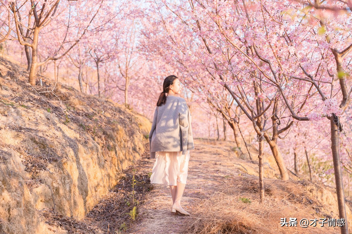 感情中离不开男生怎么办,感情中怎么做到依靠对方