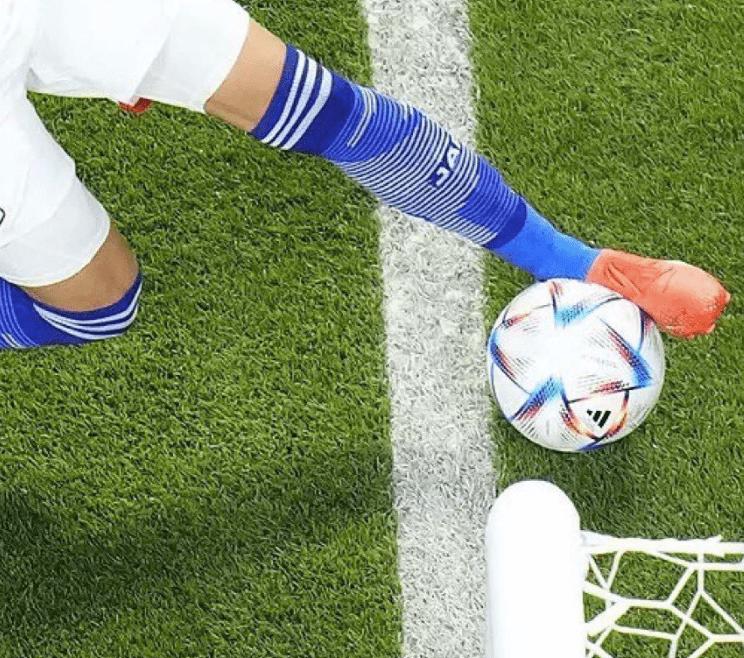 日本争议球,日本争议进球