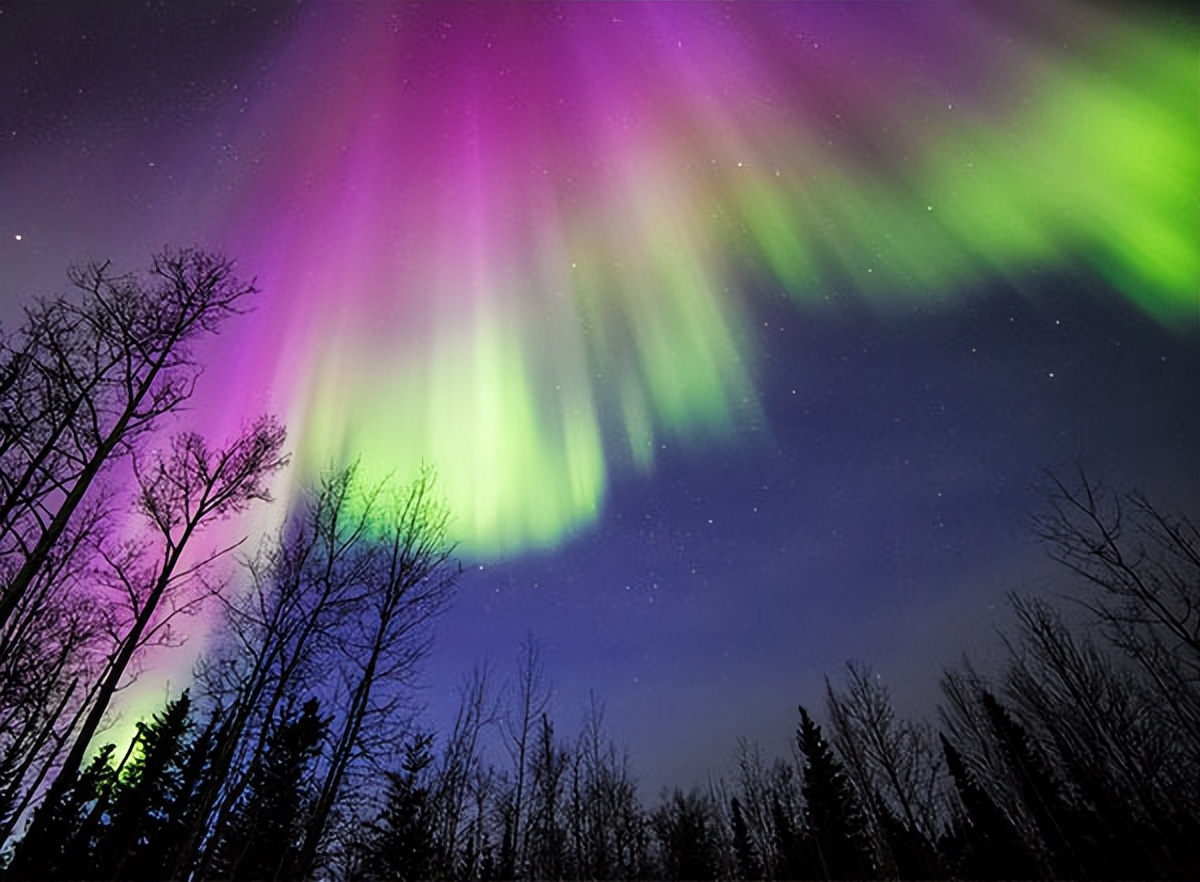 天空的奇迹这本书的作者,天空的奇迹