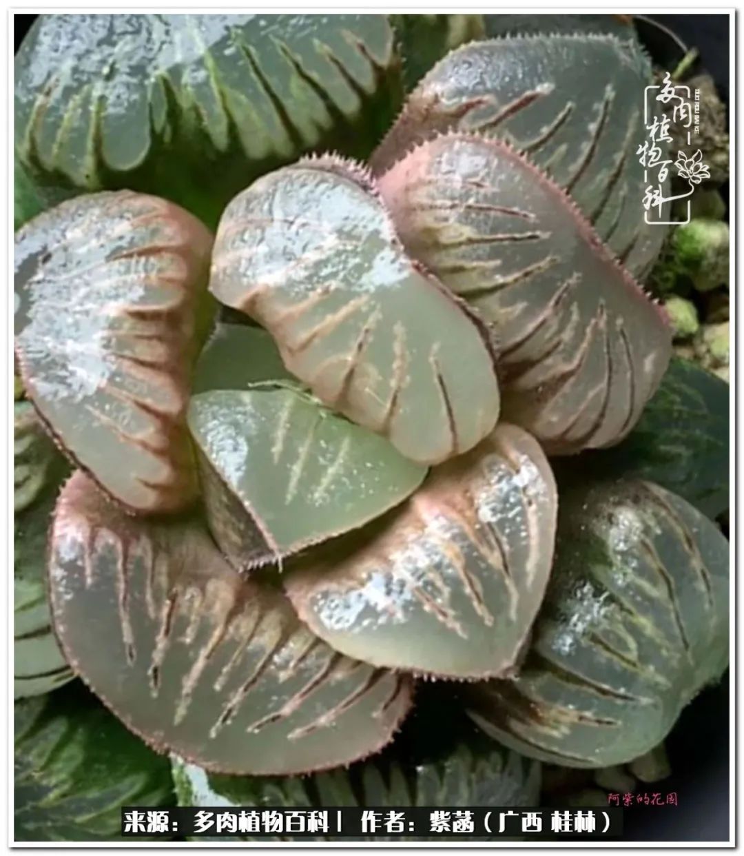 酷暑里的关爱，如十二卷般透亮绵长