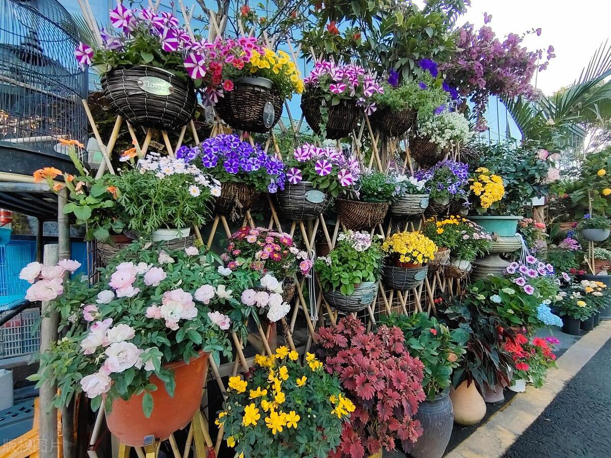 疼痛科合作加盟,疼痛科诊所加盟