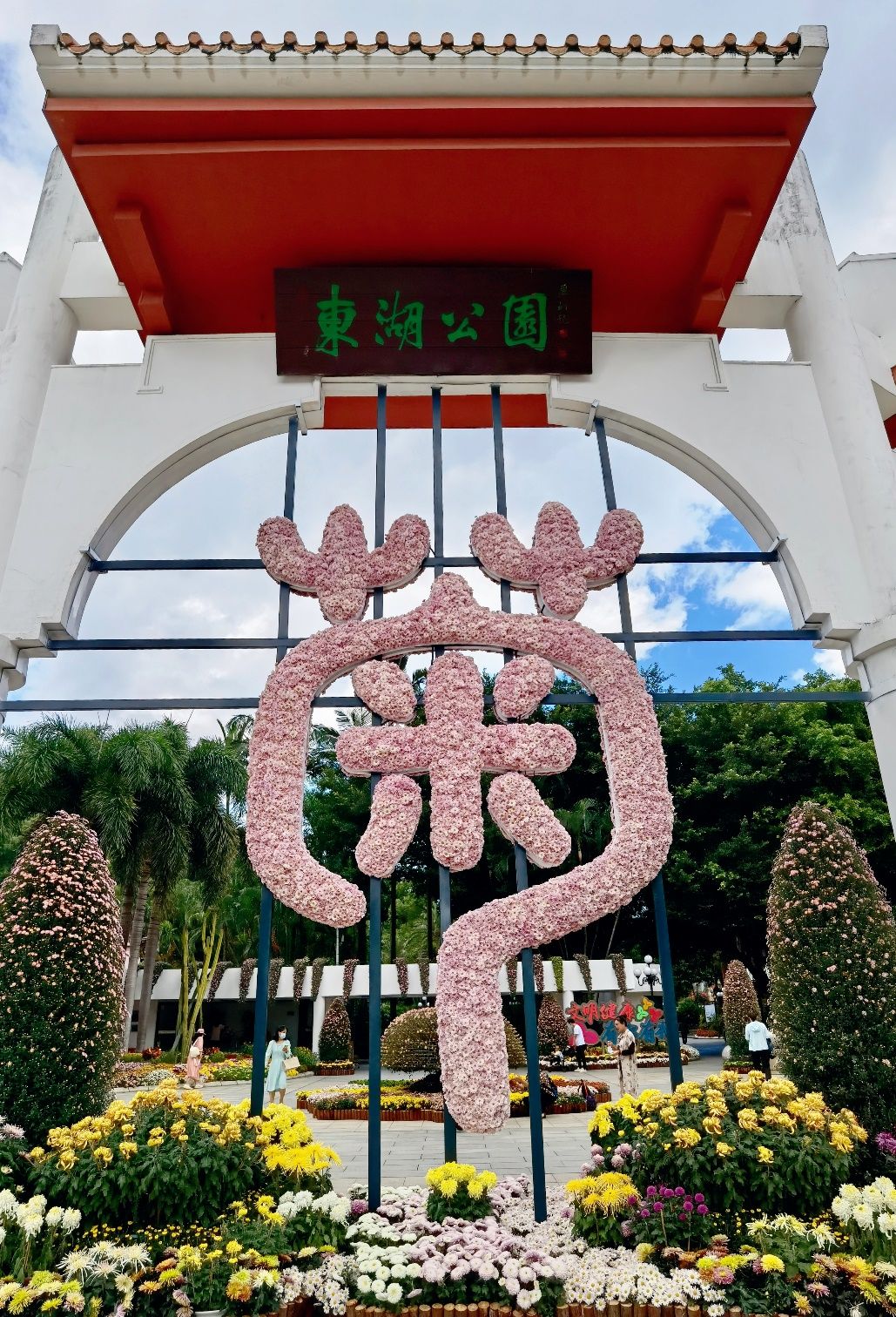 东湖公园赏菊花,深圳市东湖公园一年一季的菊花展