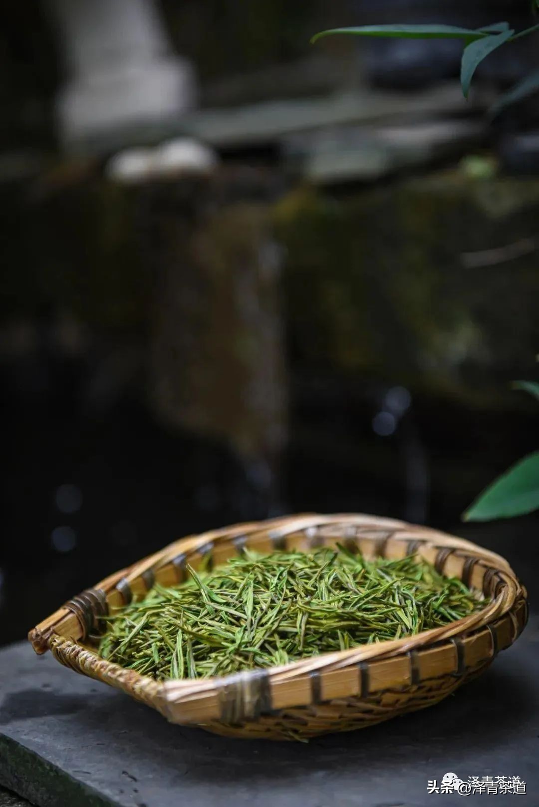 福建中国茶叶第一大省,中国茶叶排名第一省