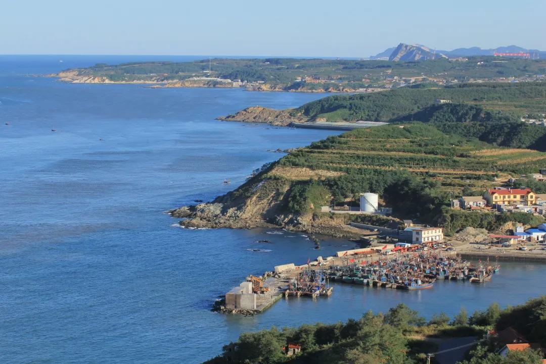 十四五国资国企优化调整布局规划,十四五国企改革十大趋势