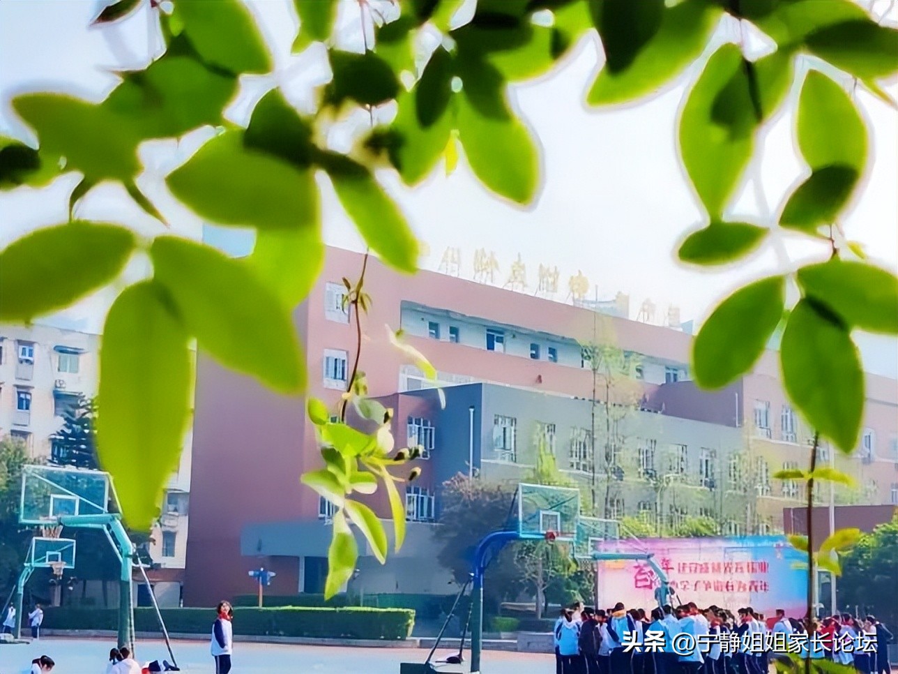 四川川师附中高中部怎么样,川附高中部