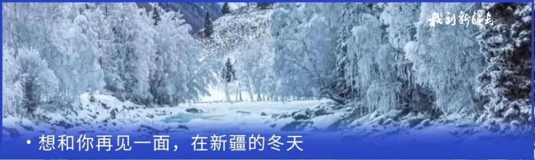 入疆旅游攻略,环疆旅游攻略大全