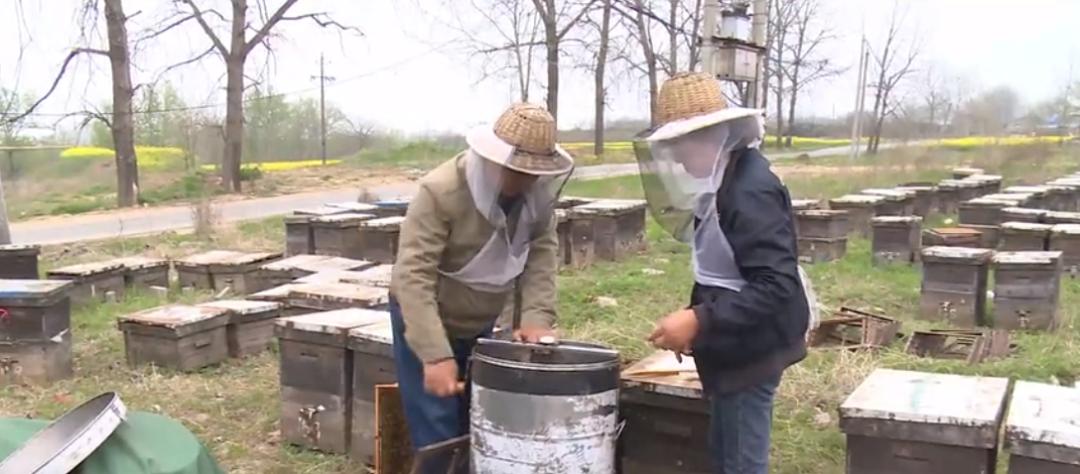 【城事】恰百花盛开品生活如蜜