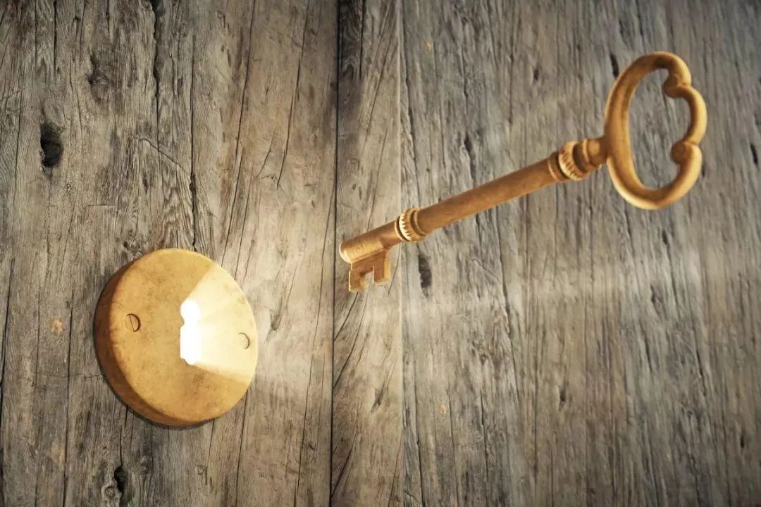 富贵险中求,富贵险中求高风险高回报