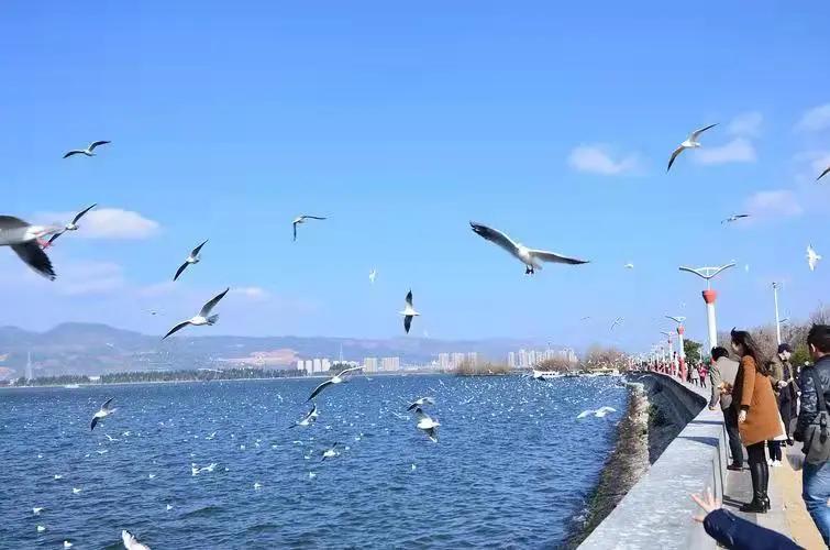 春节旅游最佳去处云南旅游攻略,春节云南旅游必去的景点推荐