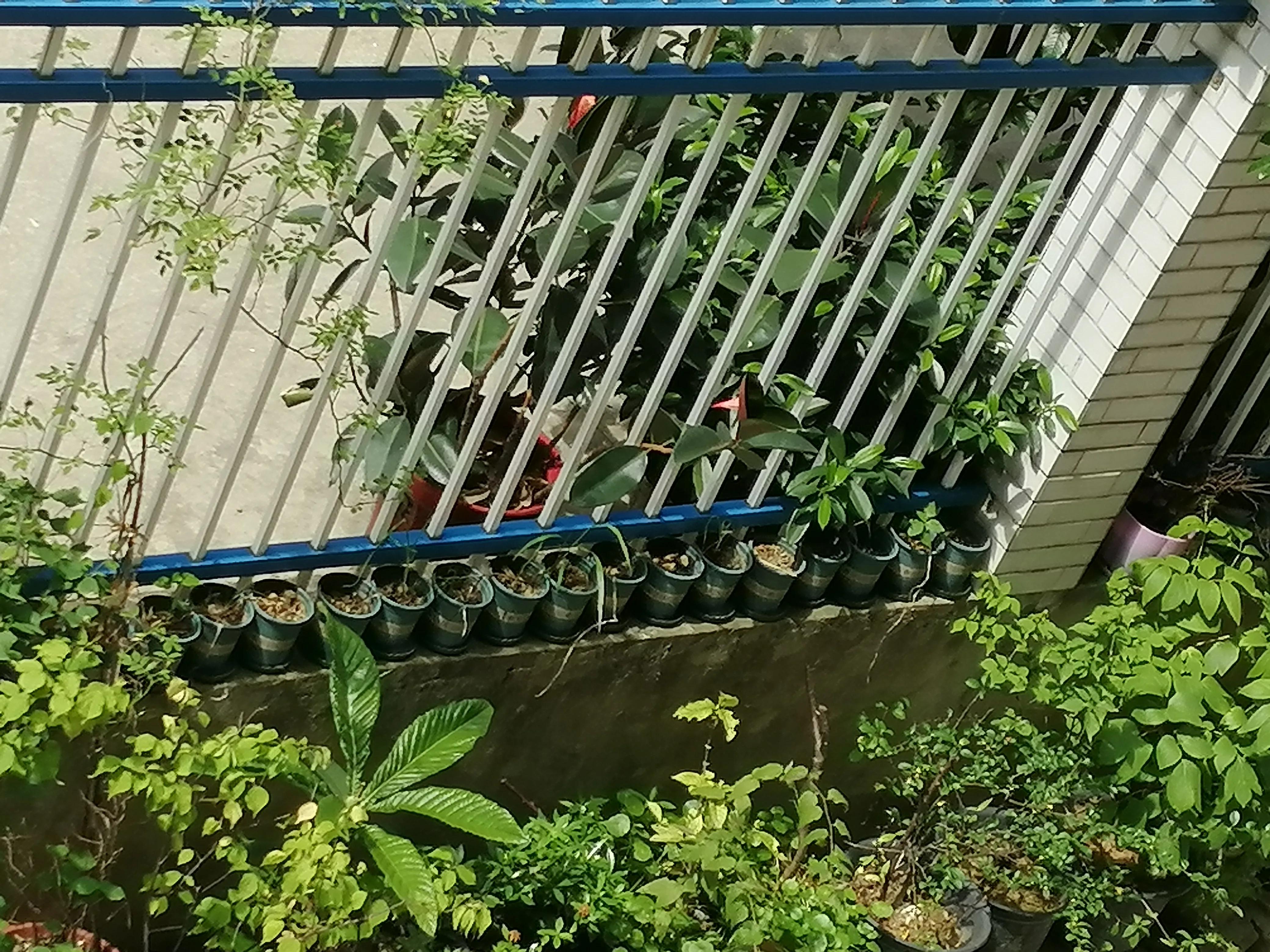 为什么别人打电话过来手机没显示,为什么别人打电话手机没显示号码