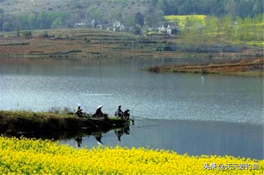 同一个钓位换浮漂要重新调目吗,更换钓点怎么二次调漂