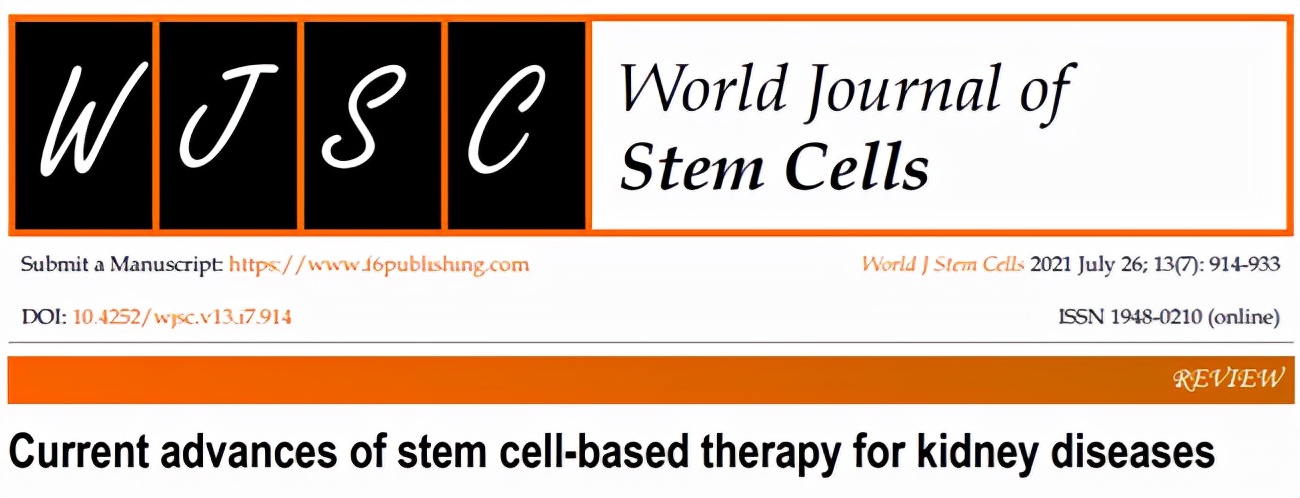 慢性肾病5期猝死,慢性肾病最终消息