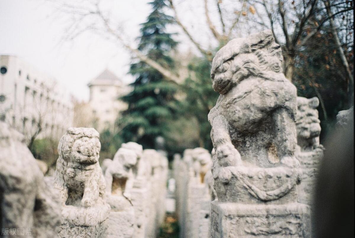 西安美术学院2023年招生分析，川渝贵三地录取详解，贵州大增22人