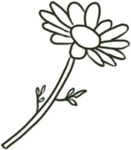 揭秘纯露的真面目,怎么判断纯露是不是纯正的