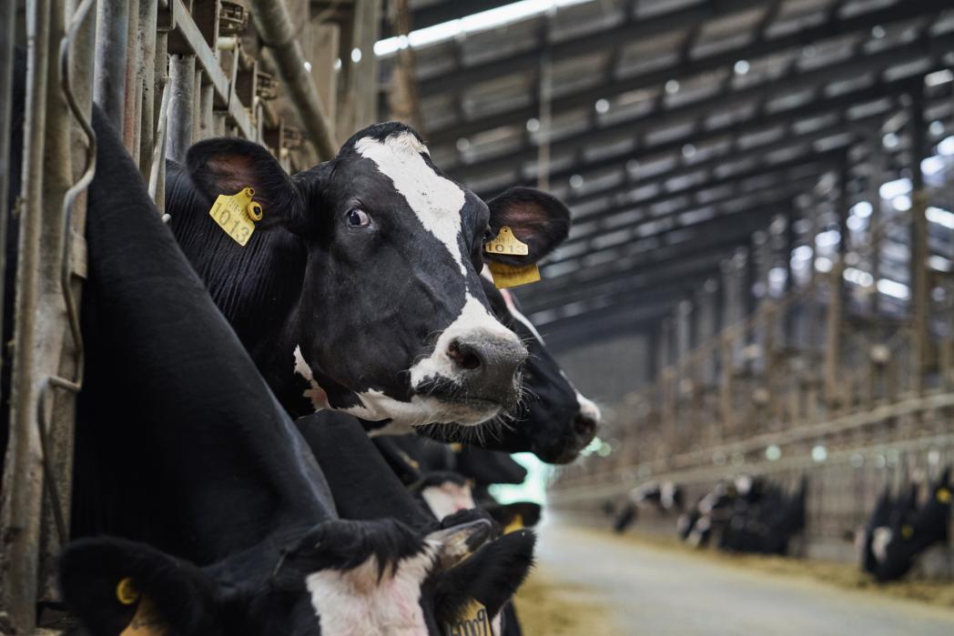 手把手教你成为购物达人,一分钟教你学会变成护肤达人