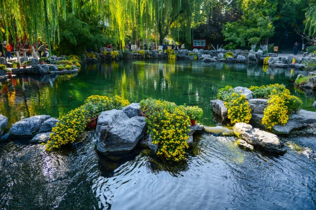 天下第一泉趵突,天下第一泉再现趵突腾空胜景