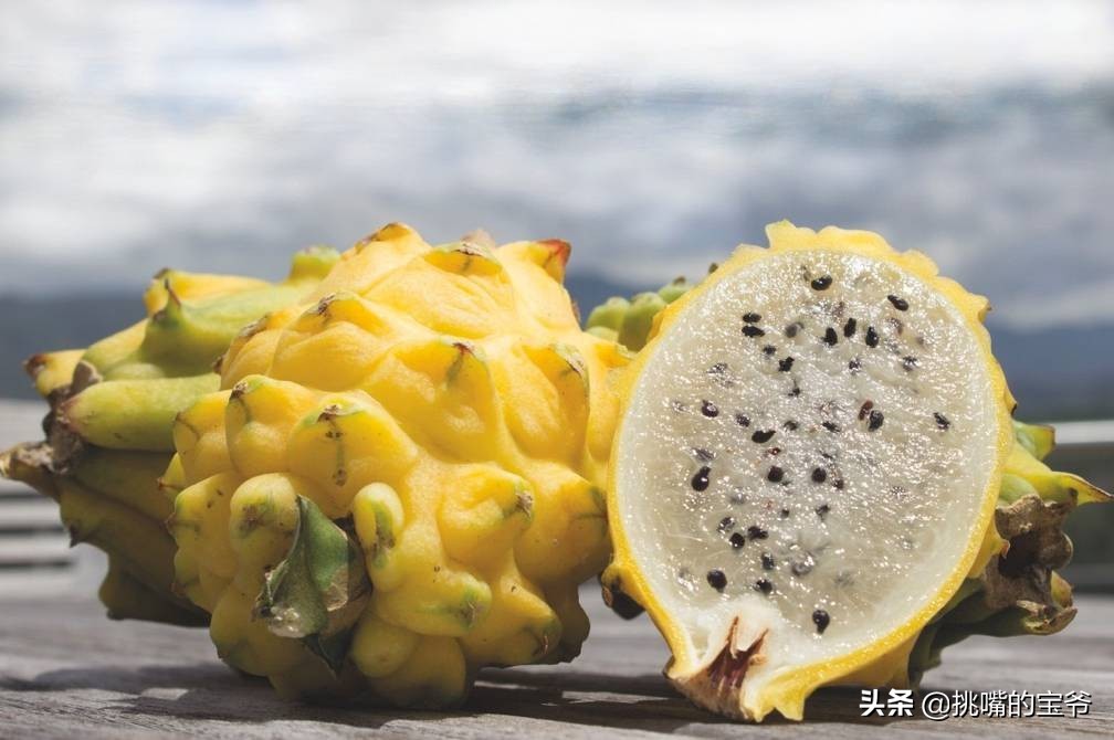 坐在赤道上，气候似云南的南美小国，数百种水果让人口水不断