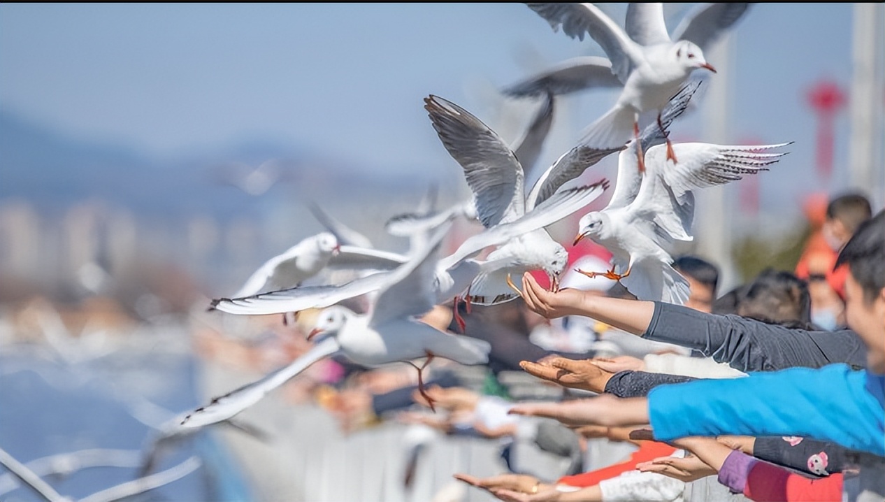 老挝*民报人**网站刊文盛赞昆明已成为世界向往之城
