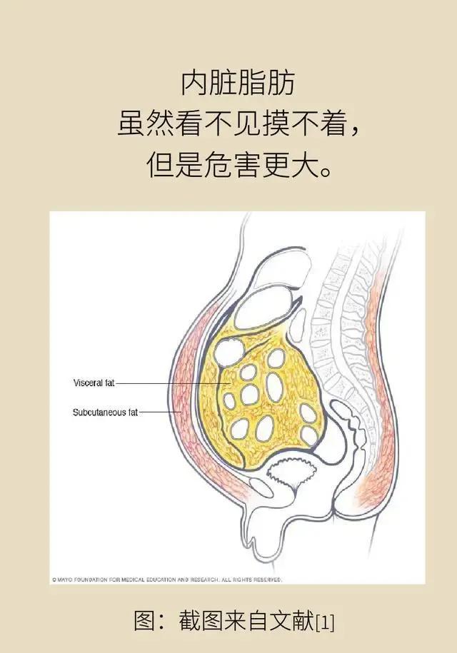老人减肚子最快又营养的方法,教你快速减肚子的最有效方法