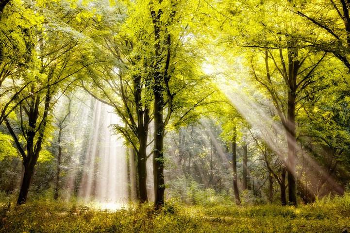 木偶奇遇记里的匹诺曹的成长经历,木偶奇遇记讲述了匹诺曹什么故事