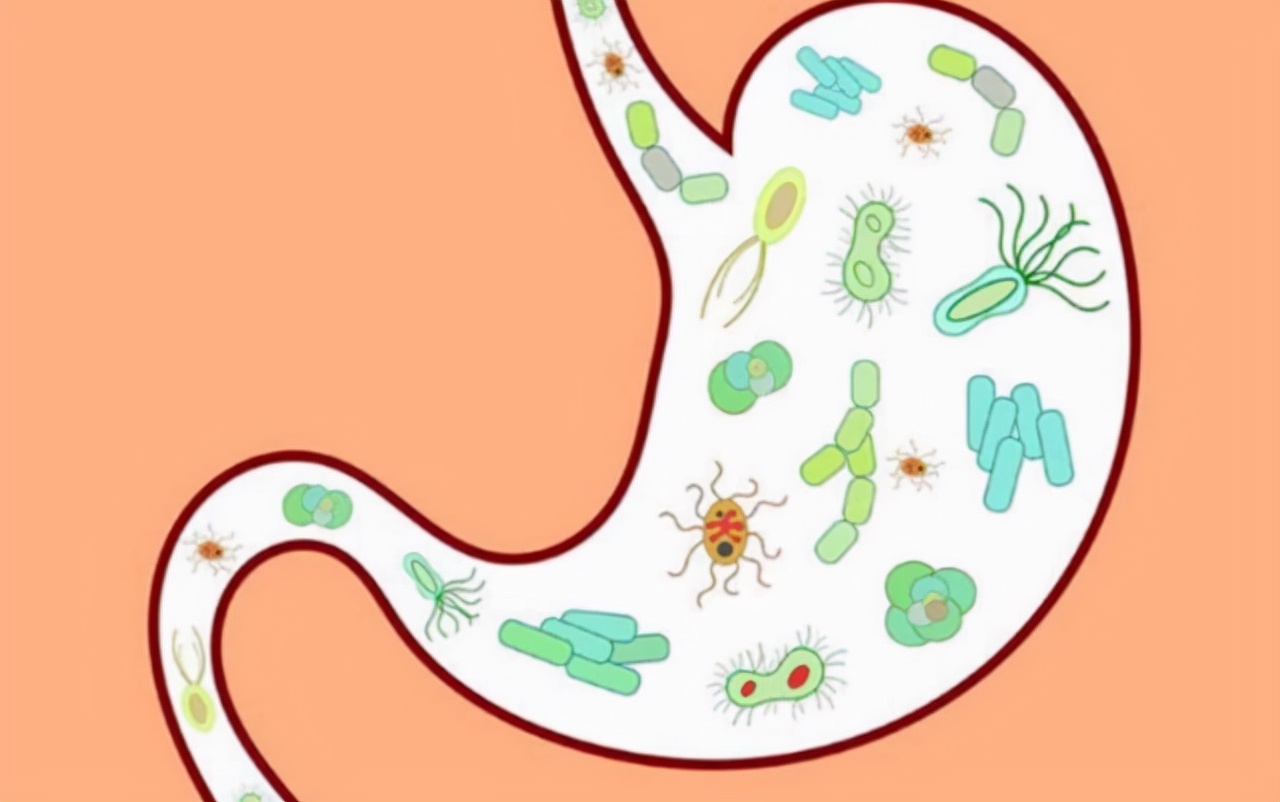 经常放屁多是肝不好帮你揪出原因,经常放屁与肝不好有关吗