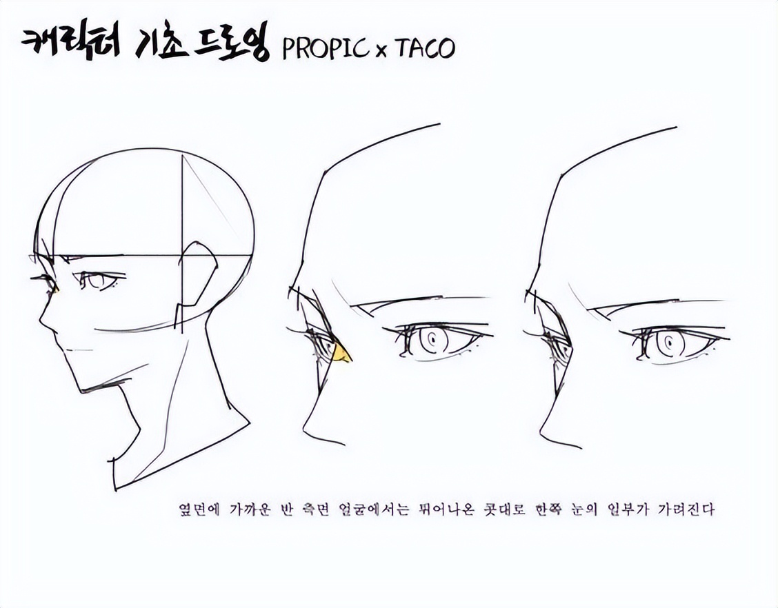 绘画素材|手绘眼睛各种练习素材参考​​​