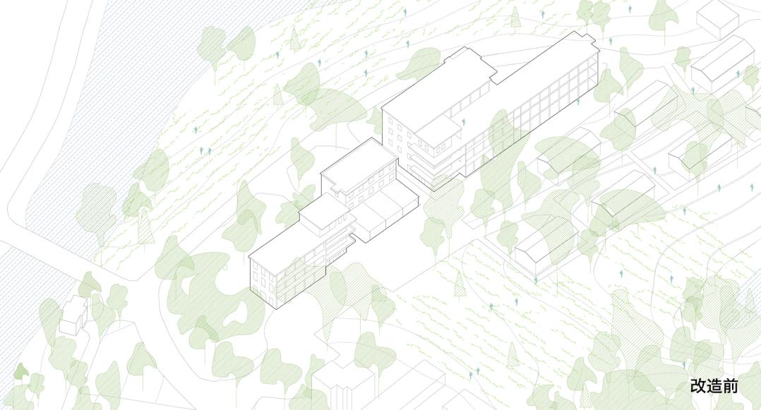 中国茶申遗成功吗,中国茶申遗成功44项名单