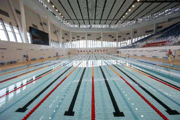 辣眼睛!男跨女运动员被女跨男运动员打败,裁判直接辞职不干了