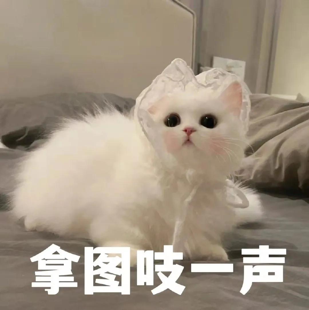 明天不用来上班了表情包,去上班表情包图片动态图